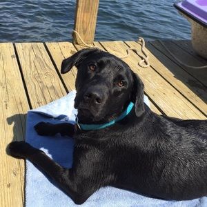 Meet your Posher, Ashley